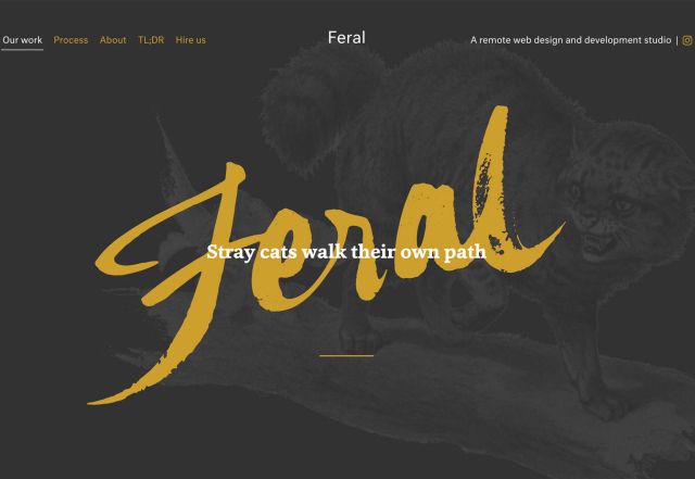 2019年5月份網(wǎng)站設(shè)計(jì)趨勢(shì) 網(wǎng)站設(shè)計(jì)